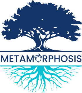 Metamorphosis Collective